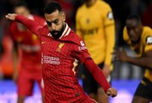 بالفيديو ..شاهد محمد صلاح يسجل في مرمى وولفرهامبتون