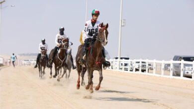 سباق كأس عيد الاتحاد للقدرة ينطلق الأحد في الوثبة