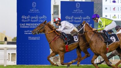 كأس رئيس الدولة للخيول العربية.. 30 عاماً من التميز والعالمية