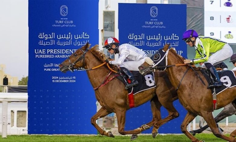 سباق كأس رئيس الدولة للخيول العربية ينطلق الأحد في أبوظبي