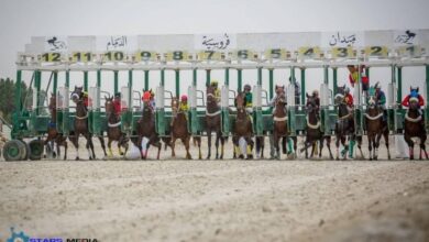 31 جواداً من ميدان الدمام يتأهبون للتأهل للمشاركة في أشواط أبطال الميادين 