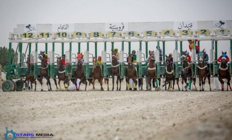 31 جواداً من ميدان الدمام يتأهبون للتأهل للمشاركة في أشواط أبطال الميادين 